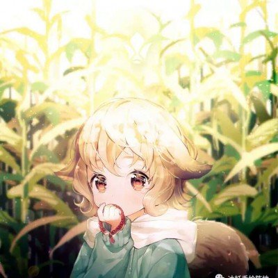 仇人租到这种房我也释怀了
